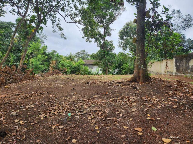 Bare Land for sale in Thalawathugoda