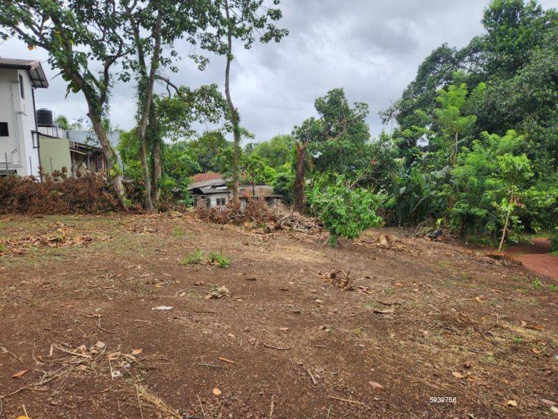 Bare Land for sale in Thalawathugoda