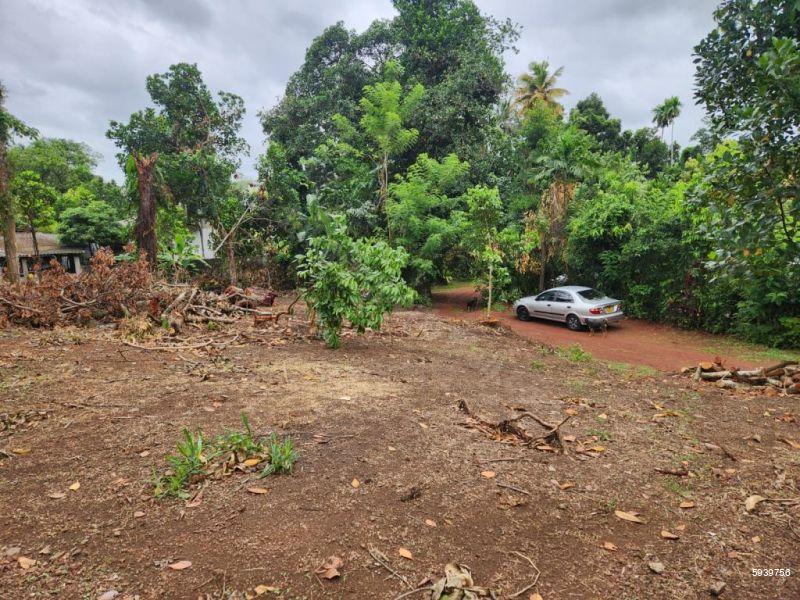 Bare Land for sale in Thalawathugoda