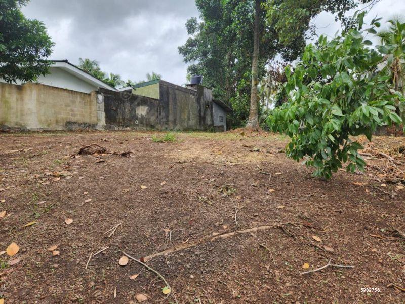 Bare Land for sale in Thalawathugoda