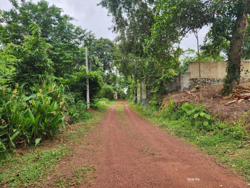 Bare Land for sale in Thalawathugoda