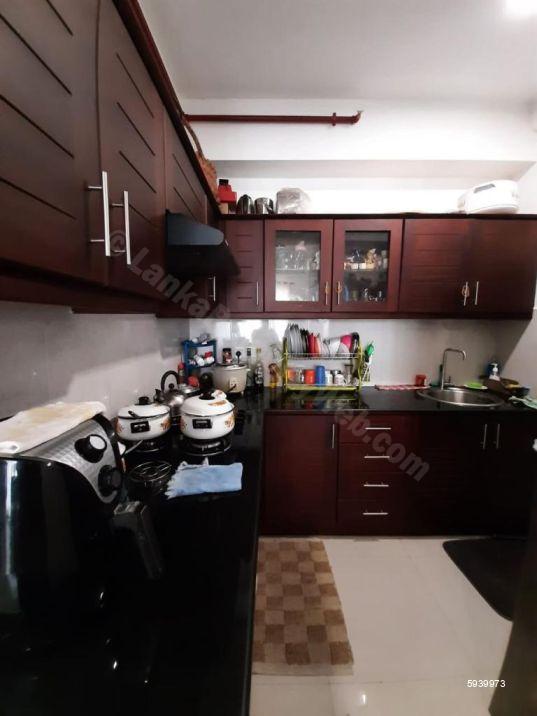 Kitchen - Apartment for rent in Colombo 8