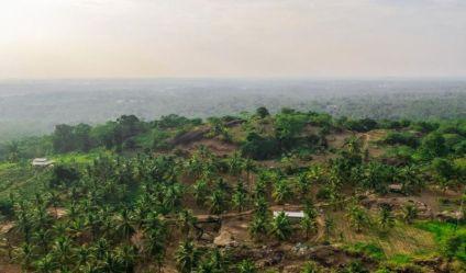 Bare Land