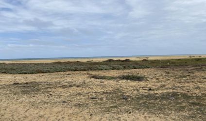 Bare Land