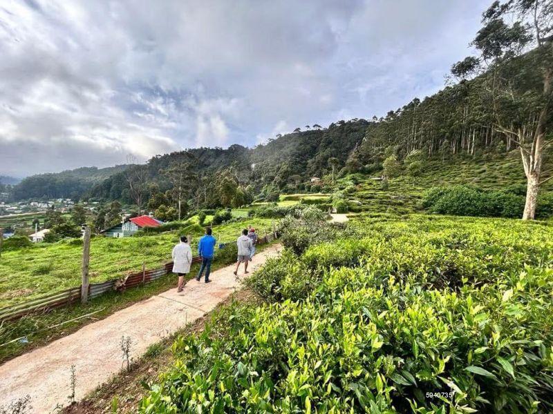 House for sale in Hawaeliya