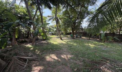 Land with house