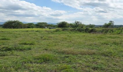 Bare Land