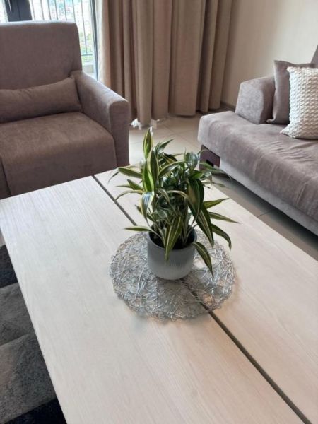 Living Room - Fully Furnished Apartment for Rent – Havelock City