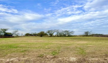 Bare Land