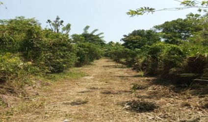 Land with house