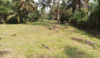 Land with house