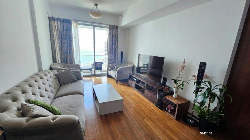 Living Room - Apartment for rent in Colombo 3