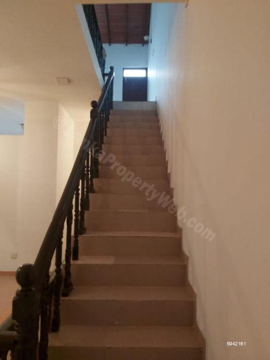 House for rent in Colombo 5