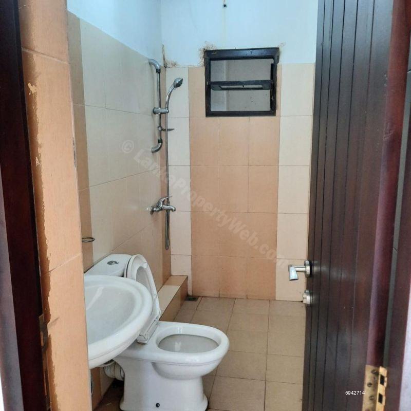 House for rent in Colombo 8
