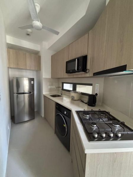 Kitchen - Trizen/2 Bedroom/Furnished/Apartment for rent in Colombo 2