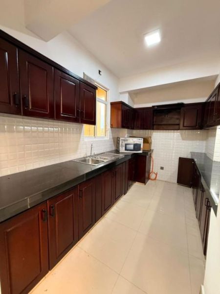 Kitchen - Alaxandria Homes/Brand new/Fully Furnished unit/04beds for rent in Colombo 06