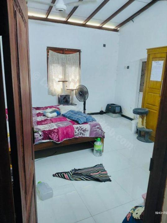 House for rent in Panadura