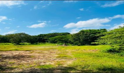 Bare Land