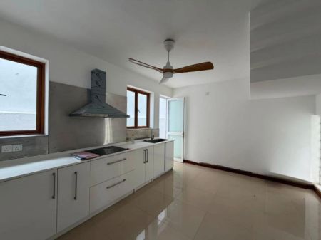 Kitchen - Exquisite Fully Renovated Residence with Private Pool in Colombo 7 | Echelon Estates