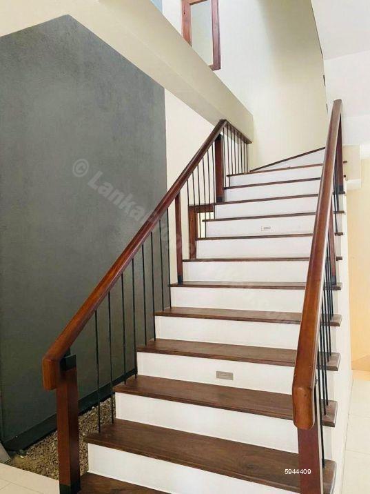 House for rent in Colombo 5