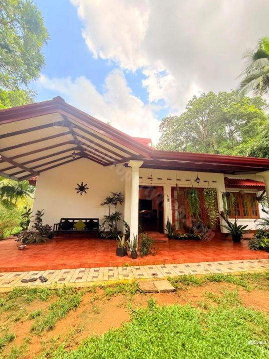 Exterior - House for sale in Horana