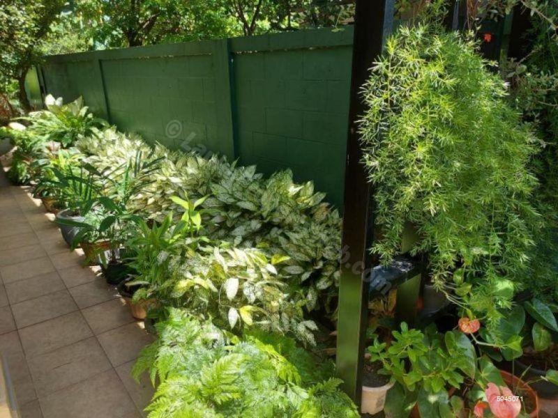 House for sale in Wattala