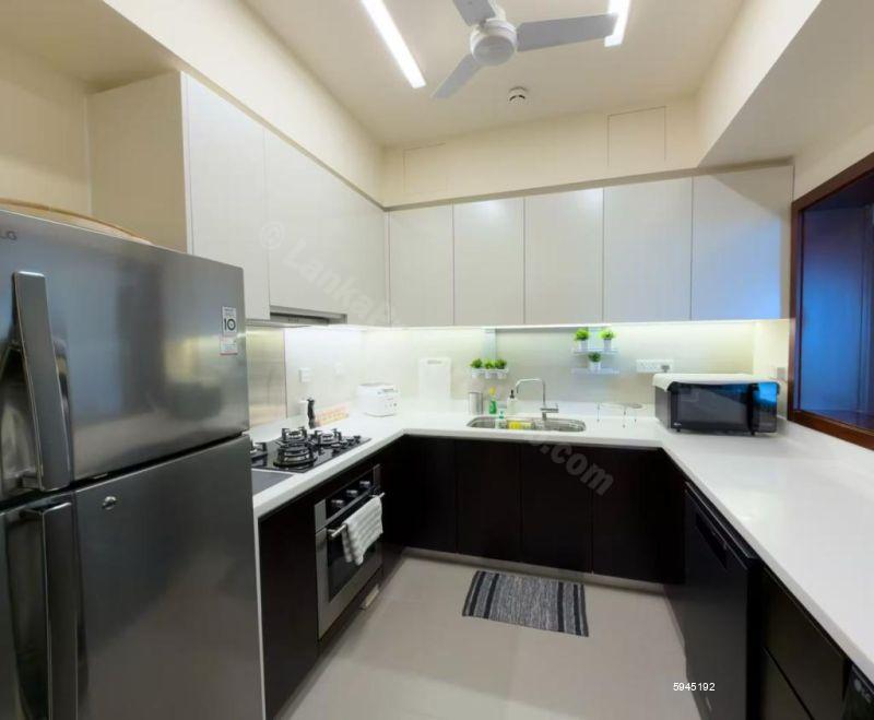 Kitchen - Apartment for rent in Colombo 2