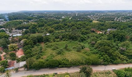 Cultivated Land