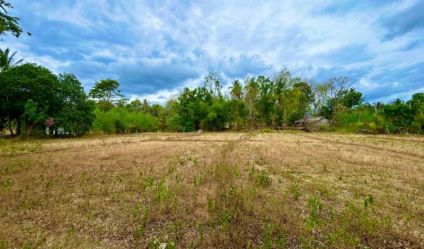 Bare Land