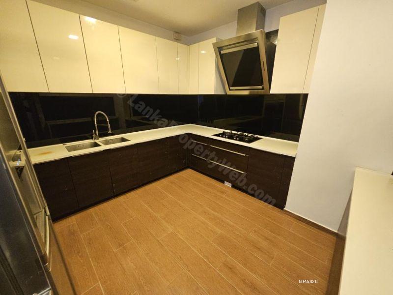 Kitchen - Apartment for rent in Colombo 7