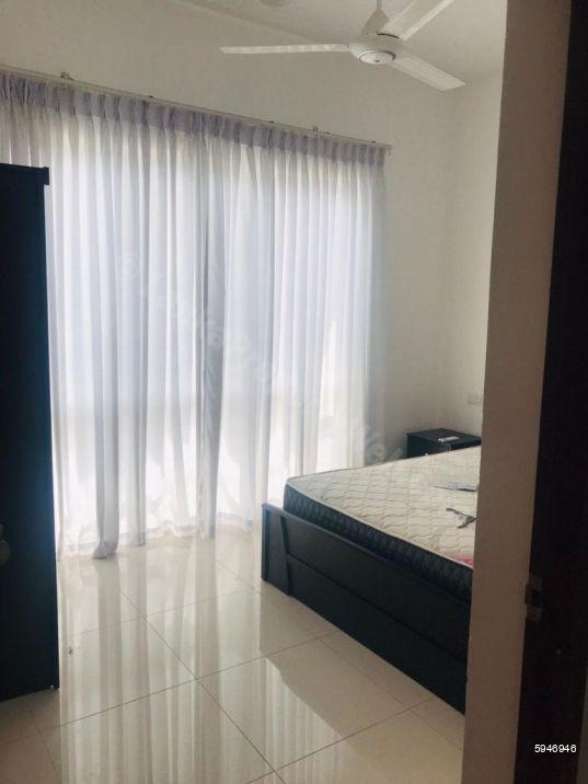 Bedroom - Apartment for rent in Colombo 7
