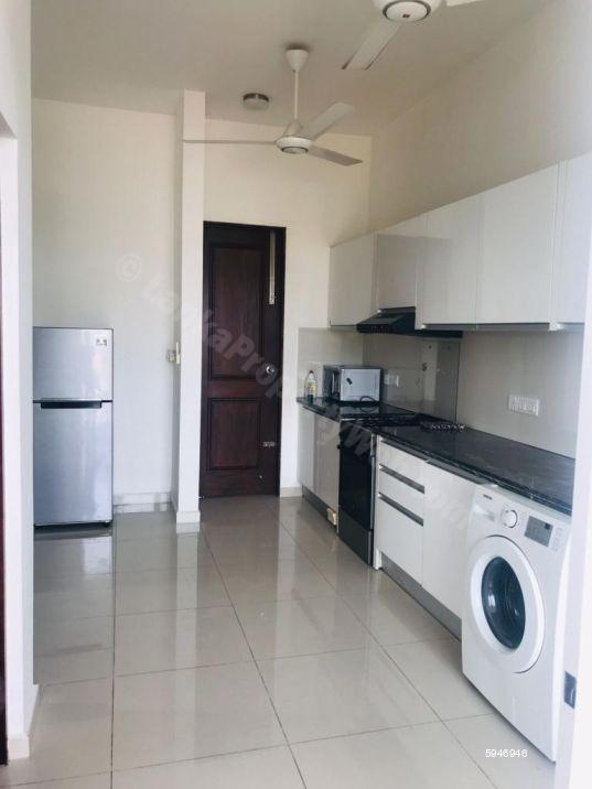 Kitchen - Apartment for rent in Colombo 7