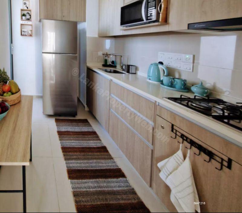 Kitchen - Apartment for rent in Colombo 2
