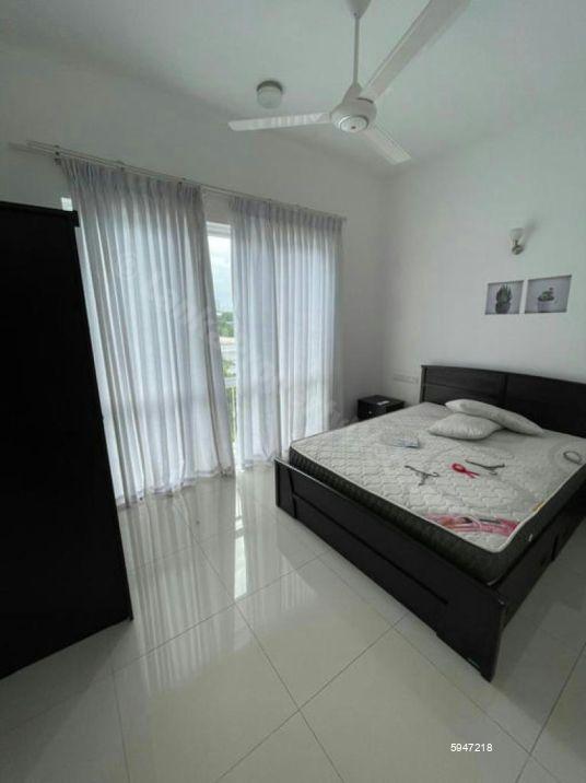 Apartment for rent in Colombo 7