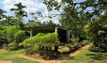 Land with house