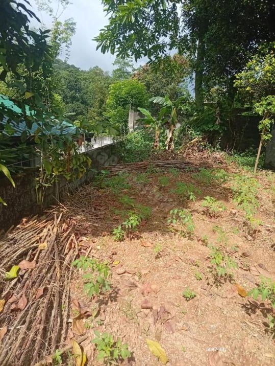 Bare Land for sale in Kandy
