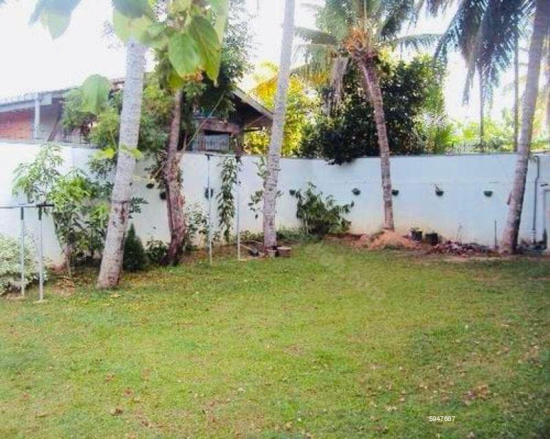 House for rent in Rathmalana