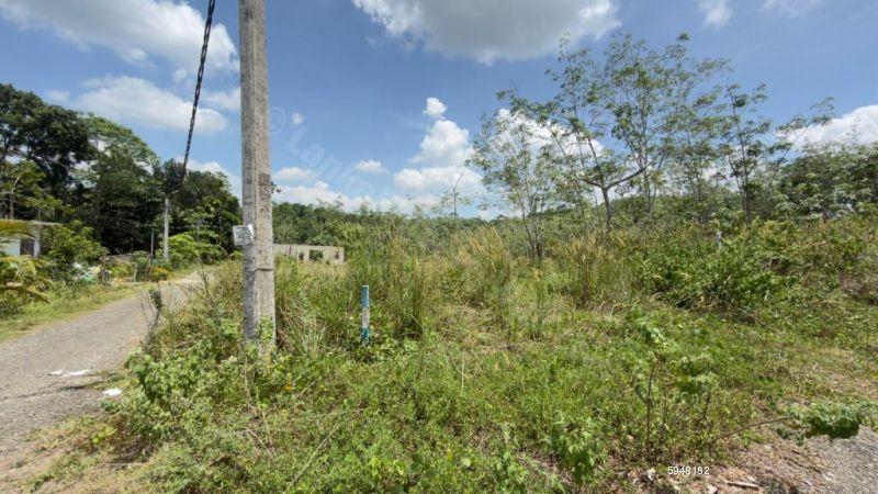 Exterior - House for sale in Colombo 4