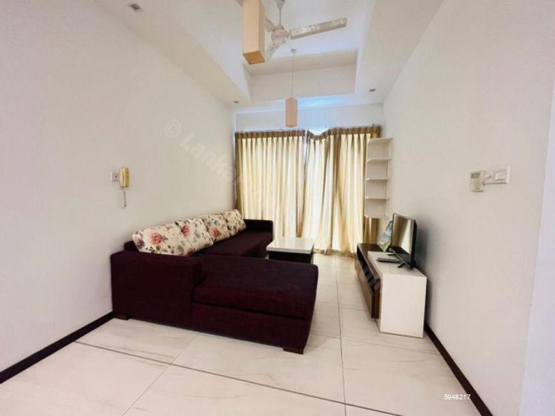 Apartment for rent in Colombo 7