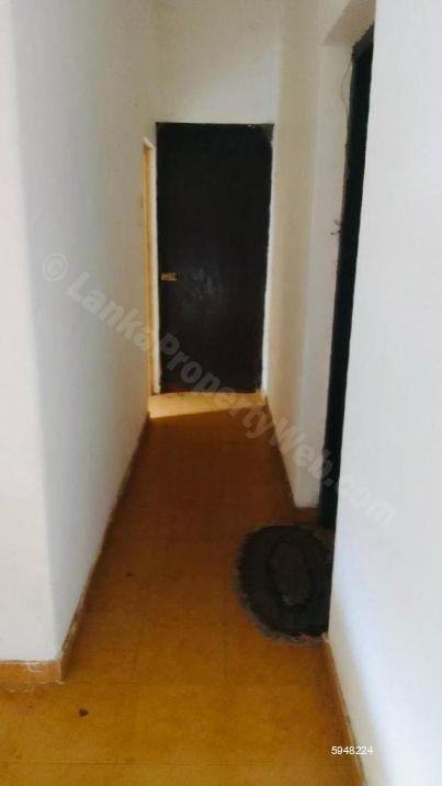 House for rent in Rathmalana
