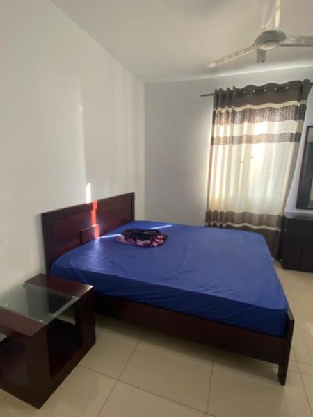 Bedroom - 5 Bedrooms Apartment For Rent in Colombo 2 On320- PDA141