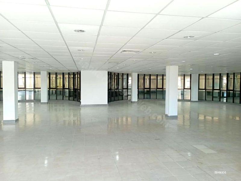 Commercial for rent in Colombo 4