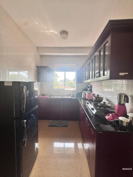 Kitchen - Apartment for rent in Kalubowila