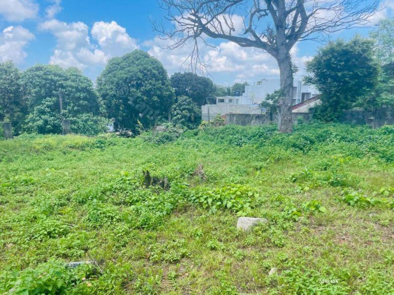 Bare Land for sale in Pita Kotte
