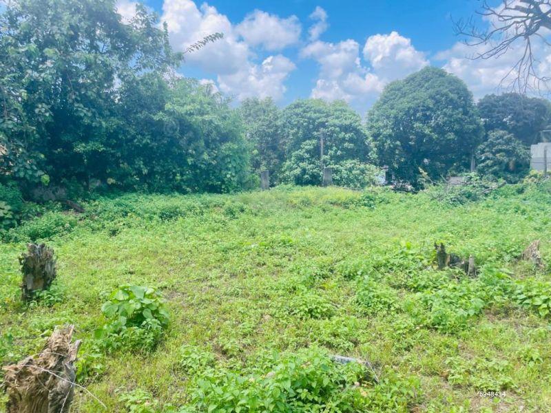 Bare Land for sale in Pita Kotte