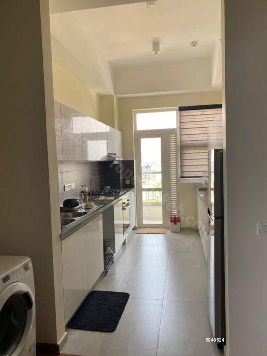 Kitchen - Apartment for rent in Colombo 8