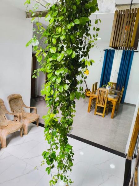 Exterior - 9.5 P Land with House for Sale In Bokundara, Piliyandala PCCC – A2