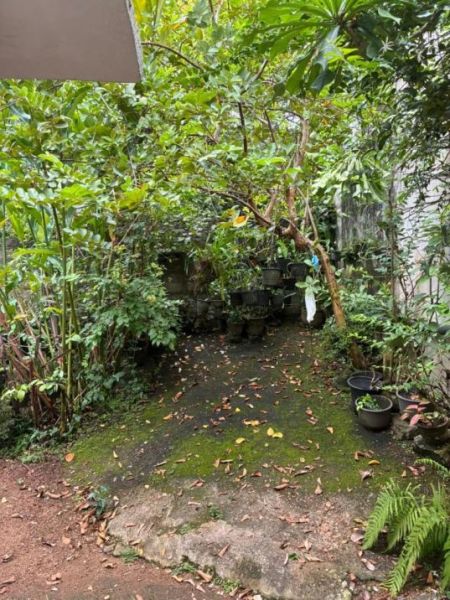 Exterior - 02 BR, 01 WR, 960Sqft - Single Storey House for Sale in Nugegoda (HST100)