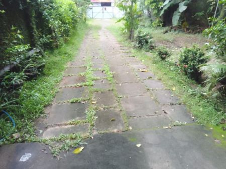Exterior - 27 Perches Unfurnished House for Sale - HL34723