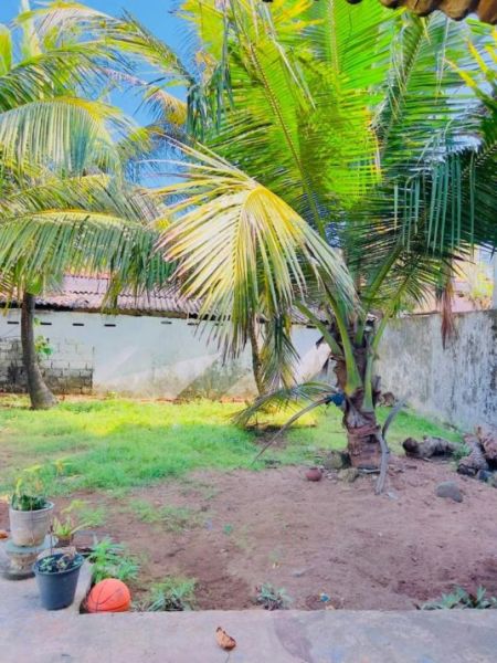 Exterior - (RR681) House for Rent in Moratuwa